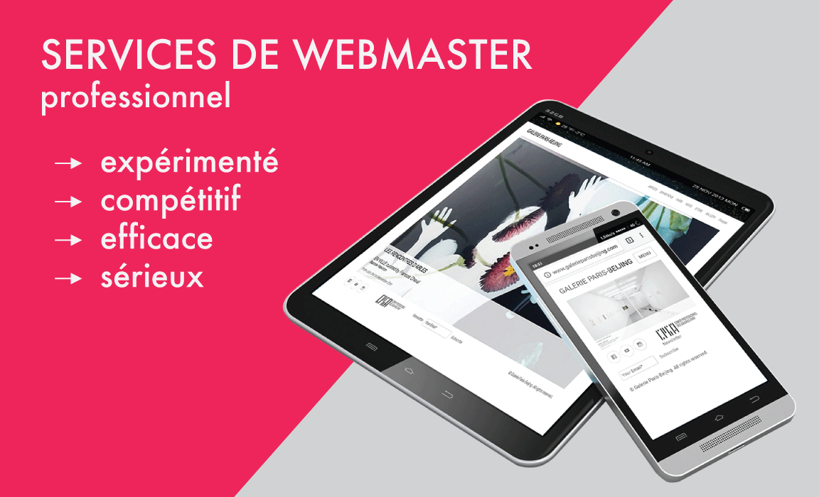 Faites appel à un Webmaster professionnel